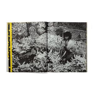Yayoi Kusama: Driving Image