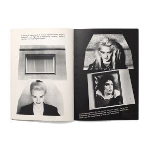 Stephen Willats: Doppelgänger