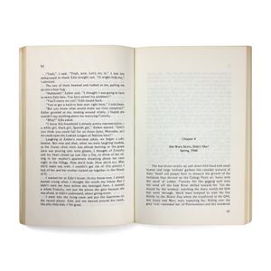 Lee Lynch: The Swashbuckler