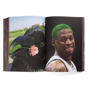 Charlie Fox: Flowers of Romance