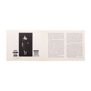 Lorna Simpson: Lorna Simpson