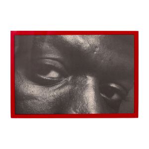 Robert Mapplethorpe: Just Photographs