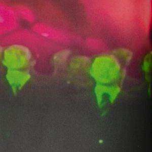 Mindy Seu: Cyberfeminism Index