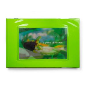 Mika Ninagawa: A Piece of Heaven