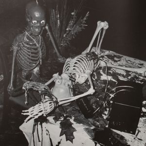 David Wojnarowicz: Tongues of Flame