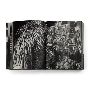 Daidō Moriyama: Shinjuku