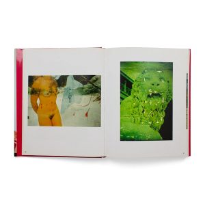 Boris Mikhailov: A Retrospective