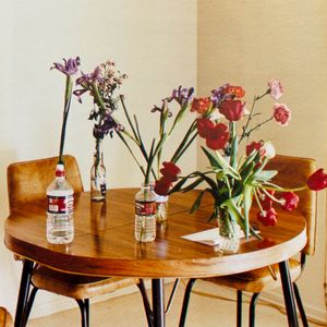 Wolfgang Tillmans: Still Life