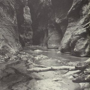 Gray Wielebinski: The Red Sun is High, the Blue Low