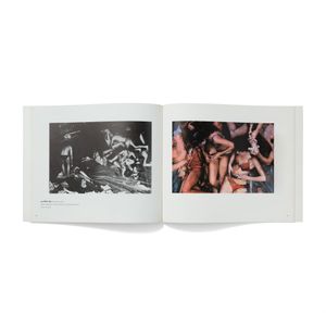 Carolee Schneemann: Up To And Including Her Limits
