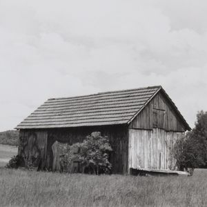 Collier Schorr: Neighbours / Nachbarn