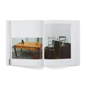 Sarah Lucas: Exhibitions and Catalogue Raisonné,1989-2005