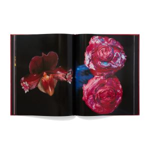 Nobuyoshi Araki: Yami No Hana: Araki’s Jewelry and Flower