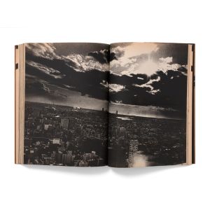 Daidō Moriyama: Memories of a dog, final chapter