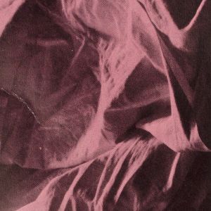 Mike Kelley: Stained Sheets / Holy Shroud