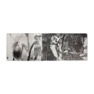Carolee Schneemann: Video Burn