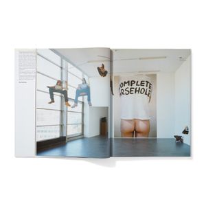 Sarah Lucas: Exhibitions and Catalogue Raisonné,1989-2005