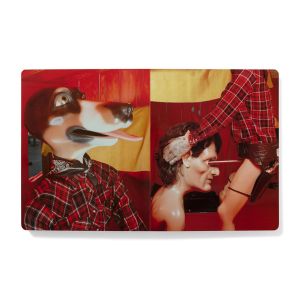 Paul McCarthy: Yaa-Hoo