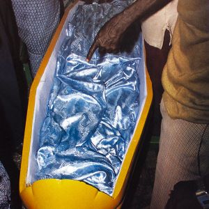 Thierry Secretan: Going into Darkness: Fantastic Coffins from Africa