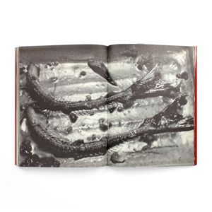 Nobuyoshi Araki: The Banquet