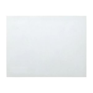 Sofia Coppola: The Virgin Suicides