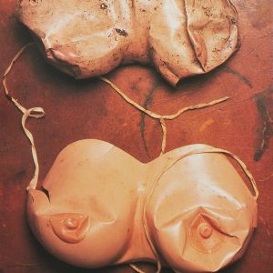 Paul McCarthy: PROPO