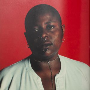 Camilla Nickerson, Neville Wakefield: Fashion: Photography of the Nineties