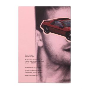 Chloë Sevigny: No Time No Love