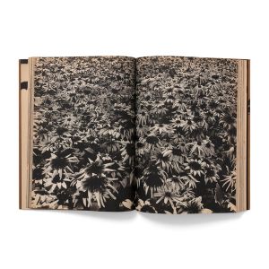 Daidō Moriyama: Memories of a dog, final chapter