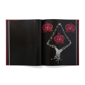 Nobuyoshi Araki: Yami No Hana: Araki’s Jewelry and Flower