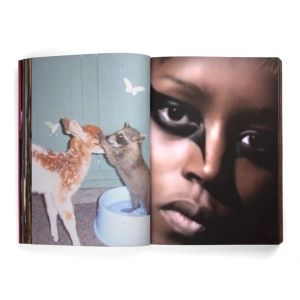 Charlie Fox: Flowers of Romance