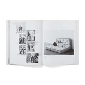 Sarah Lucas: Exhibitions and Catalogue Raisonné,1989-2005