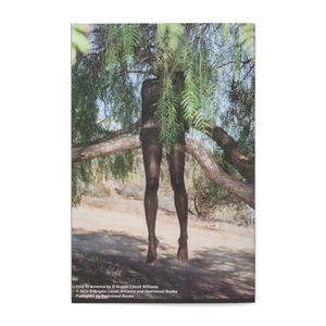 D'Angelo Lovell Williams: Only In America