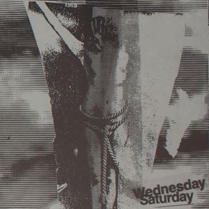 Carolee Schneemann: Video Burn