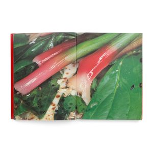 Nobuyoshi Araki: The Banquet