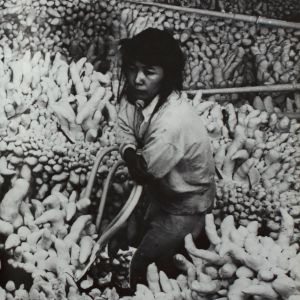 Yayoi Kusama: Driving Image