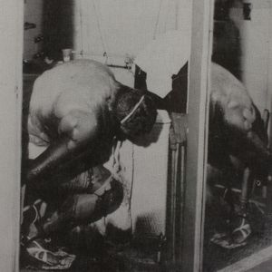 François Peraldi: Polysexuality