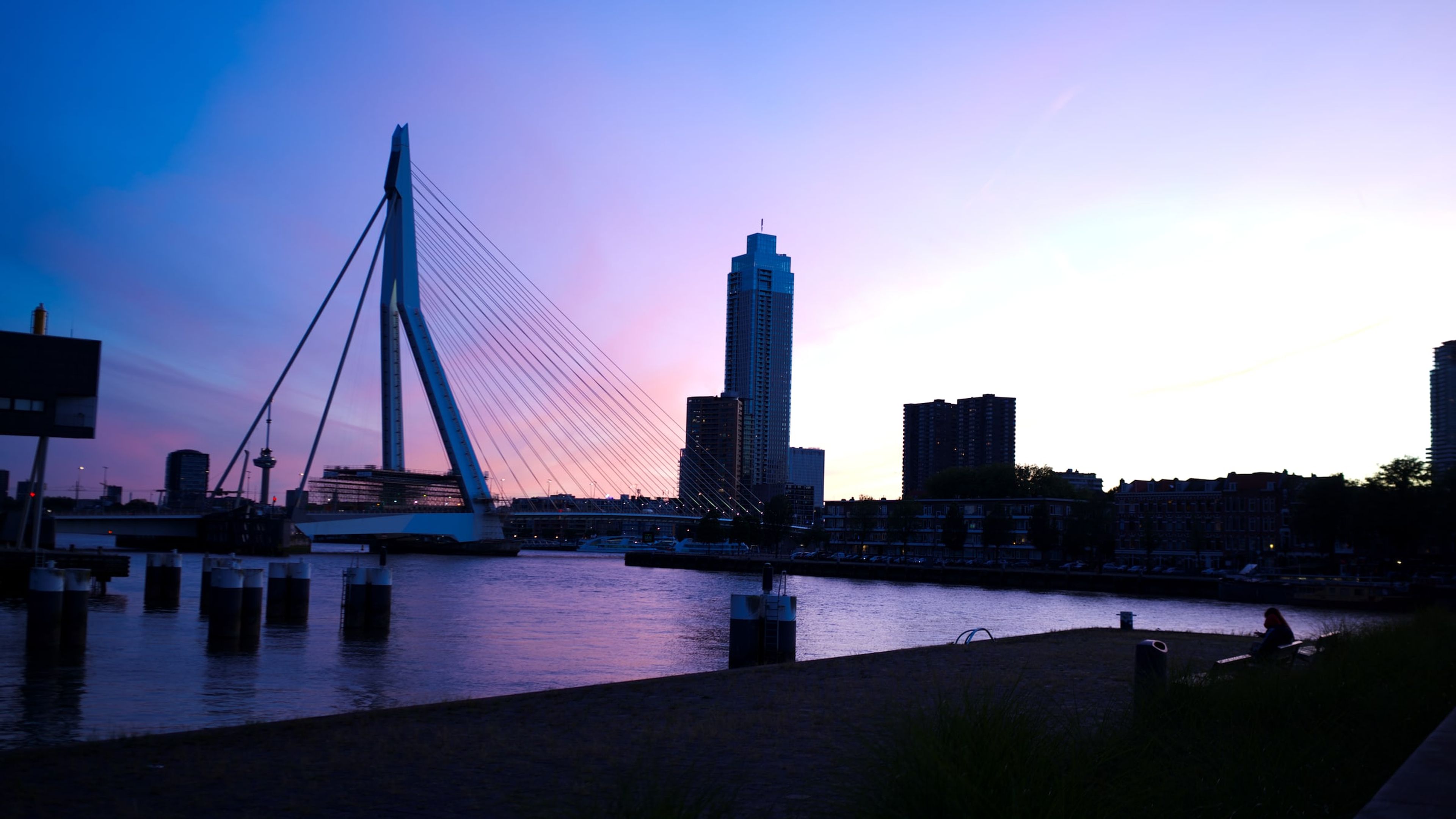 De Erasmusbrug en de skyline van Rotterdam tijdens het blauwe uur