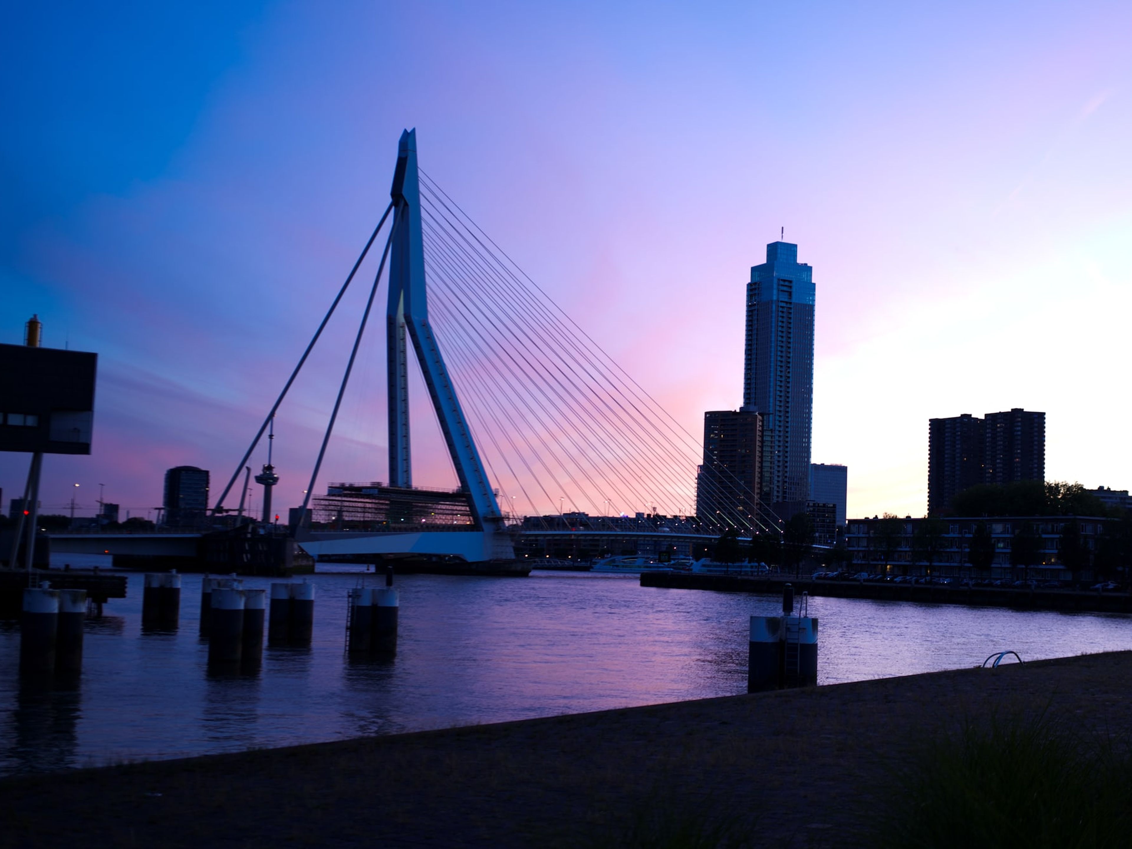 The Erasmus Bridge and the Rotterdam skyline at blue hour