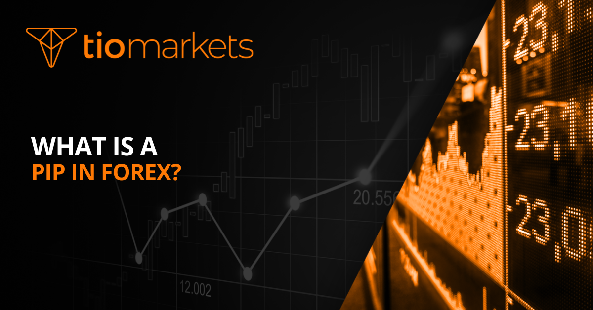 Tiomarkets What Is A Pip In Forex Learn Pips Lots And Pip Values