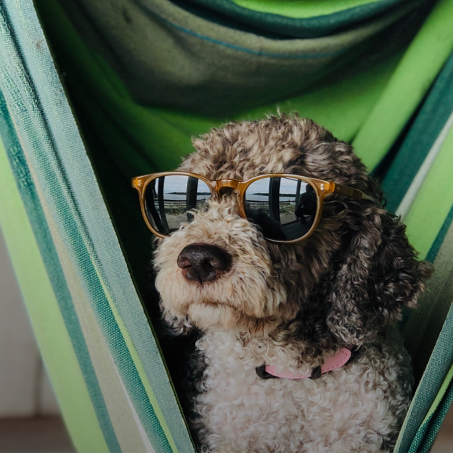 Moodboard Key Visual