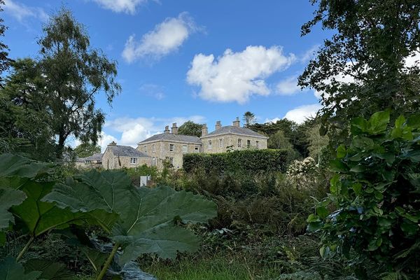 Tresillian House, a stone country house with slate roofs and tall chimneys, seen across a garden of large-leaved plants