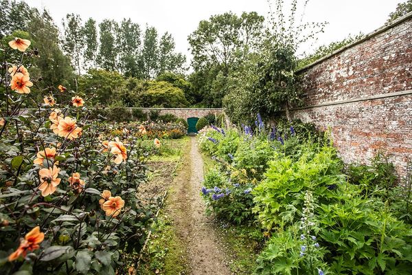 Walled garden with a narrow path between orange dahlias and blue delphiniums, leading to a green door in an old brick wall