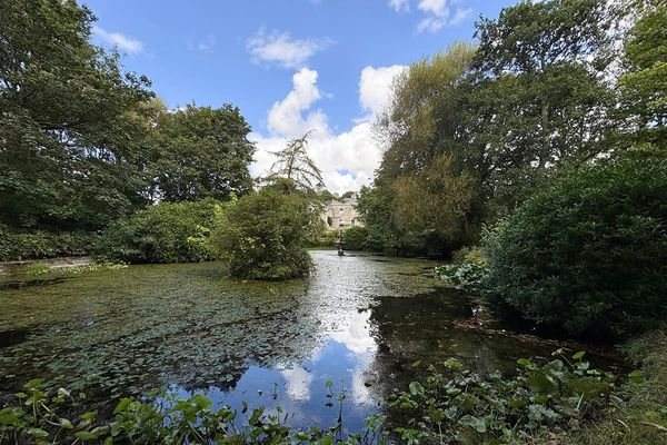 Pond covered in lily pads with a small fountain, surrounded by trees and shrubs, with a stone house in the distance