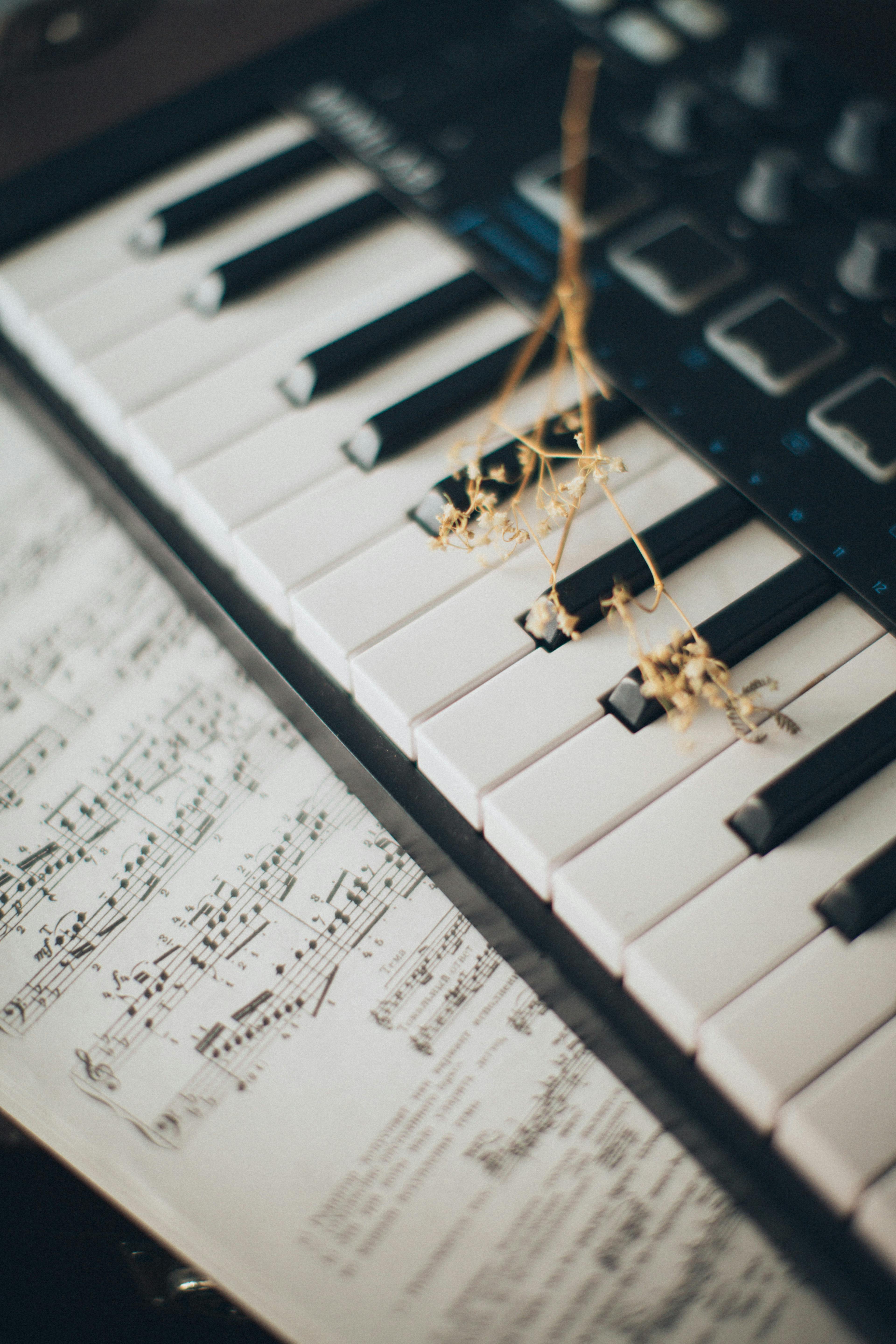 Piano keyboard with sheet music underneath and a golden branch laid across the keyboard