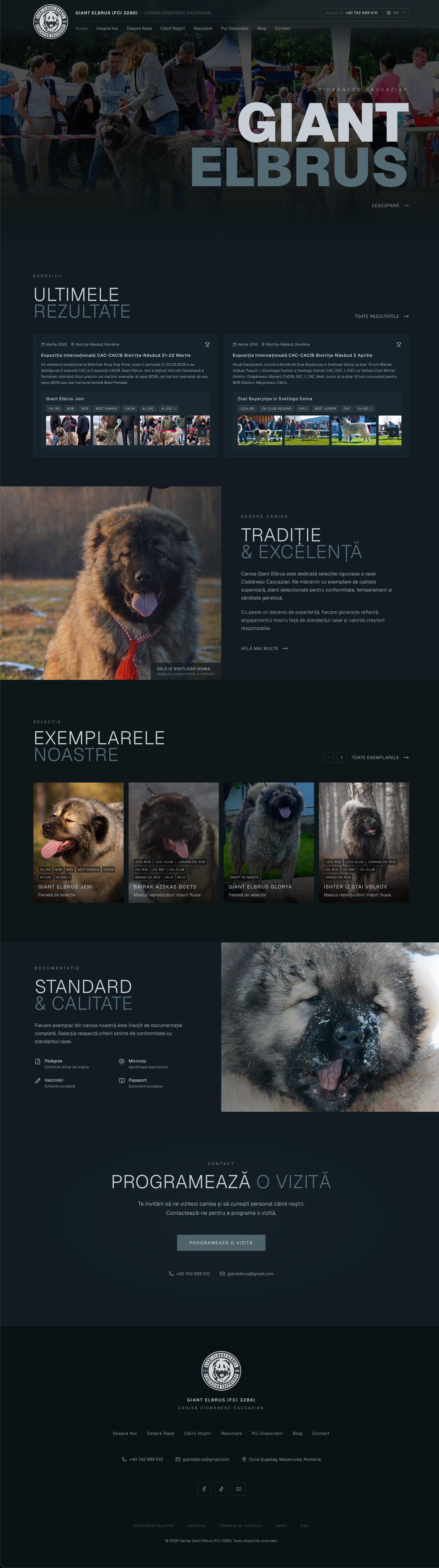 Giant Elbrus full homepage design