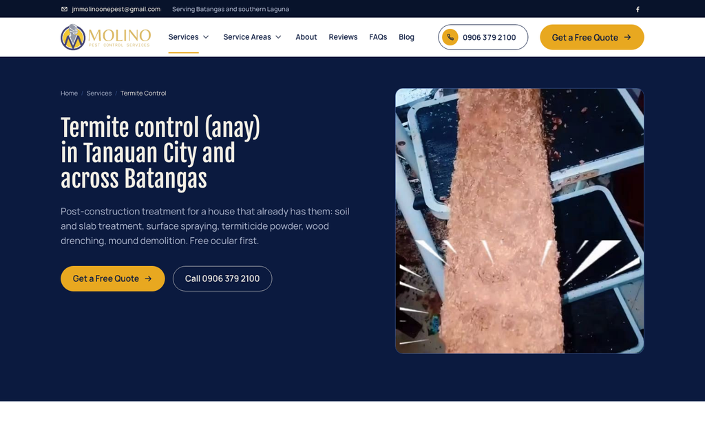 Termite control service page on the Molino Pest Control website