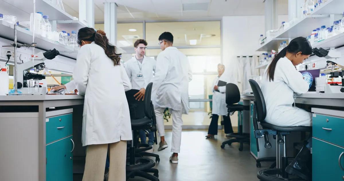 A group of scientists are working in a laboratory