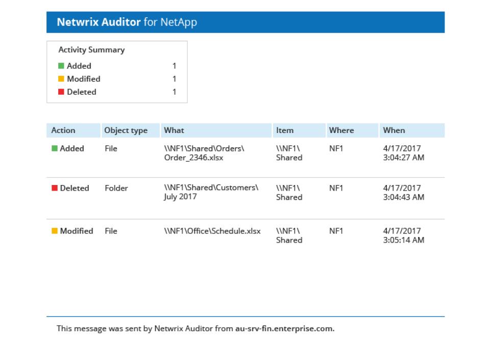A screenshot of a network auditor for netapp report