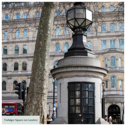 Trafalgar Square a Famosa Praça dos Leões em Londres — foto 5
